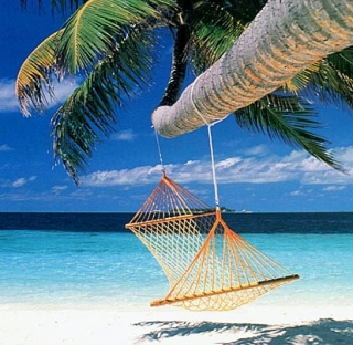 Company holidays