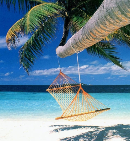 hammock